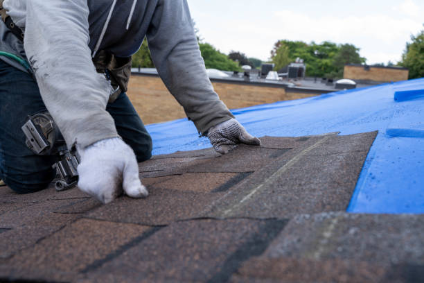 Fast & Reliable Emergency Roof Repairs in Arnaudville, LA